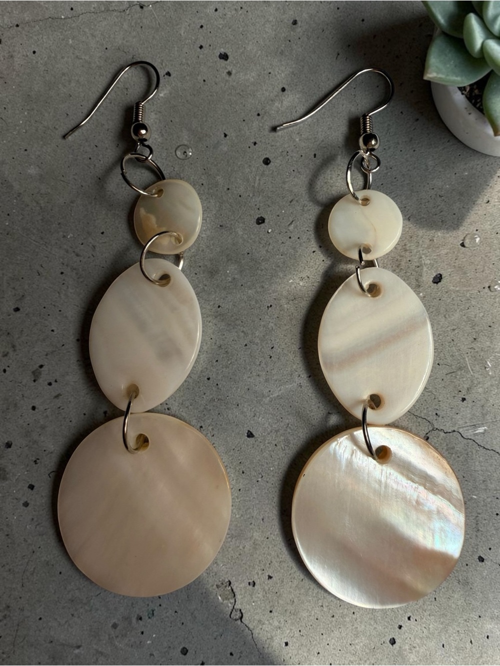Neutral Cream Shell Drop Earrings - Women Jewelry